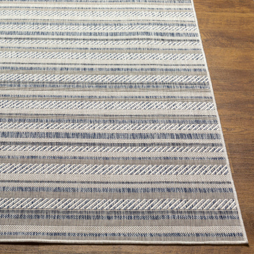 surya eagean eag 2408 taupe rug