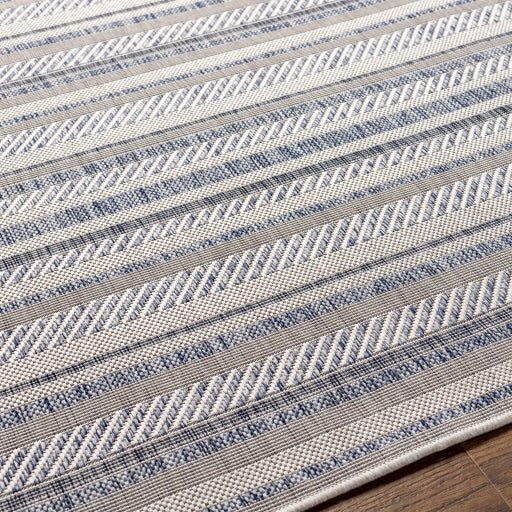 surya eagean eag 2408 taupe rug