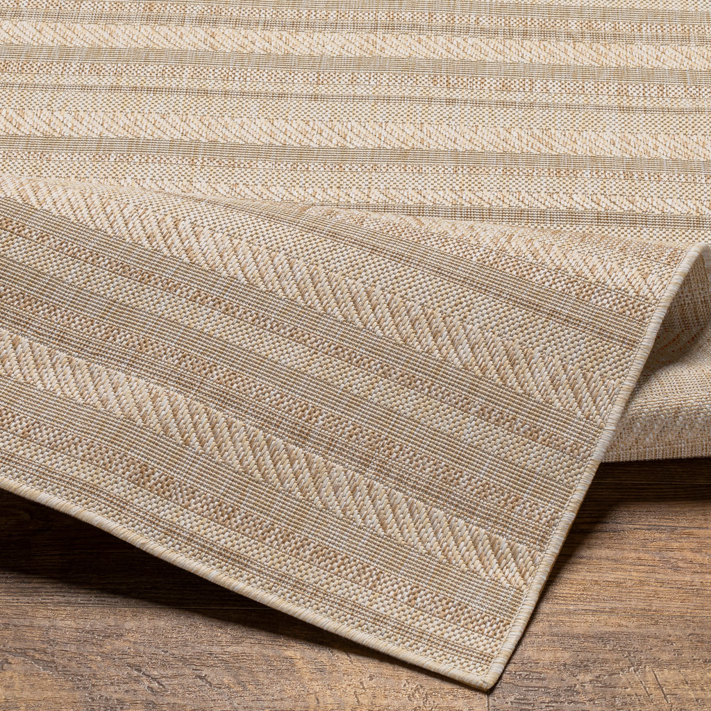 surya eagean eag 2409 tan rug