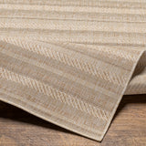 surya eagean eag 2409 tan rug