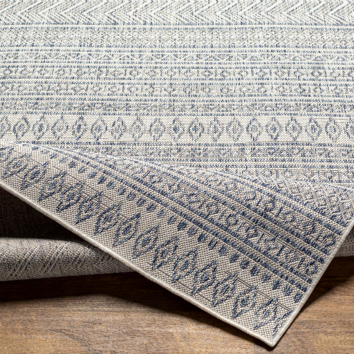 surya eagean eag 2410 taupe rug