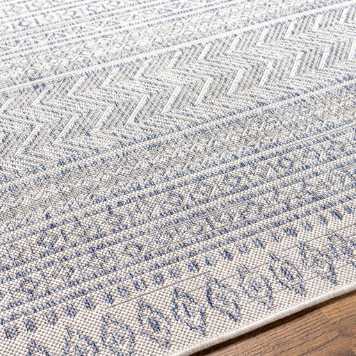 surya eagean eag 2410 taupe rug