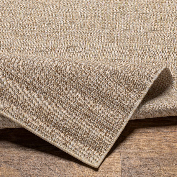 surya eagean eag 2411 tan rug