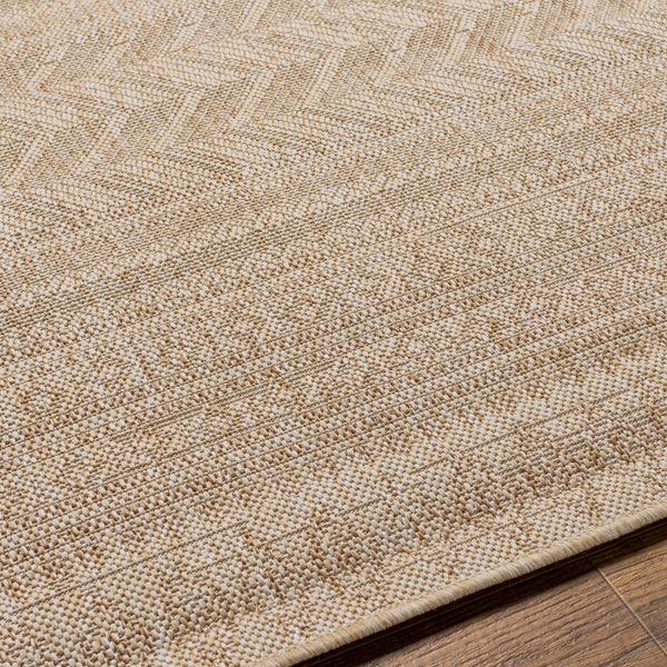 surya eagean eag 2411 tan rug