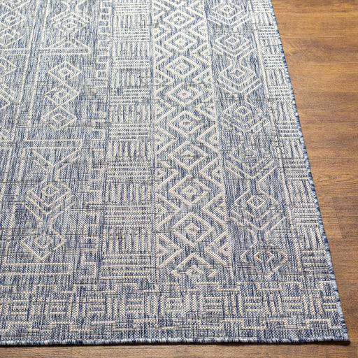 surya eagean eag 2413 pewter rug