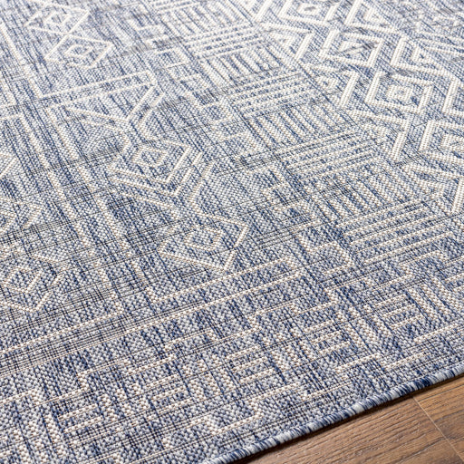 surya eagean eag 2413 pewter rug