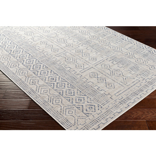 surya eagean eag 2414 taupe rug