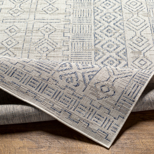 surya eagean eag 2414 taupe rug