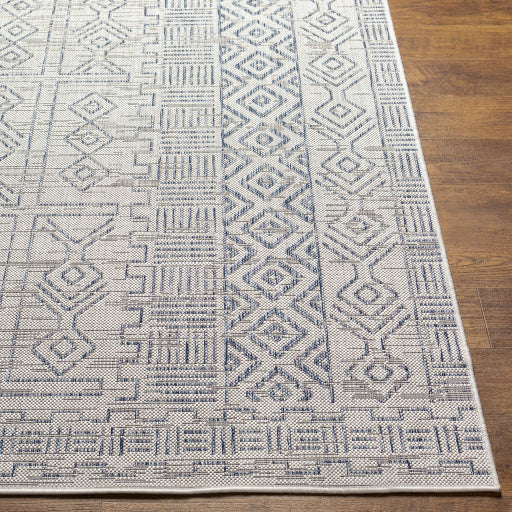 surya eagean eag 2414 taupe rug