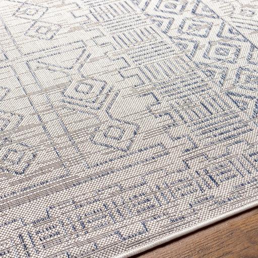 surya eagean eag 2414 taupe rug