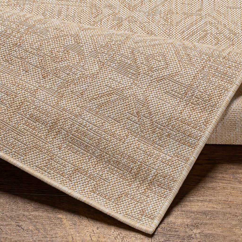 surya eagean eag 2415 tan rug