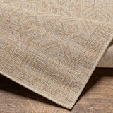 surya eagean eag 2415 tan rug