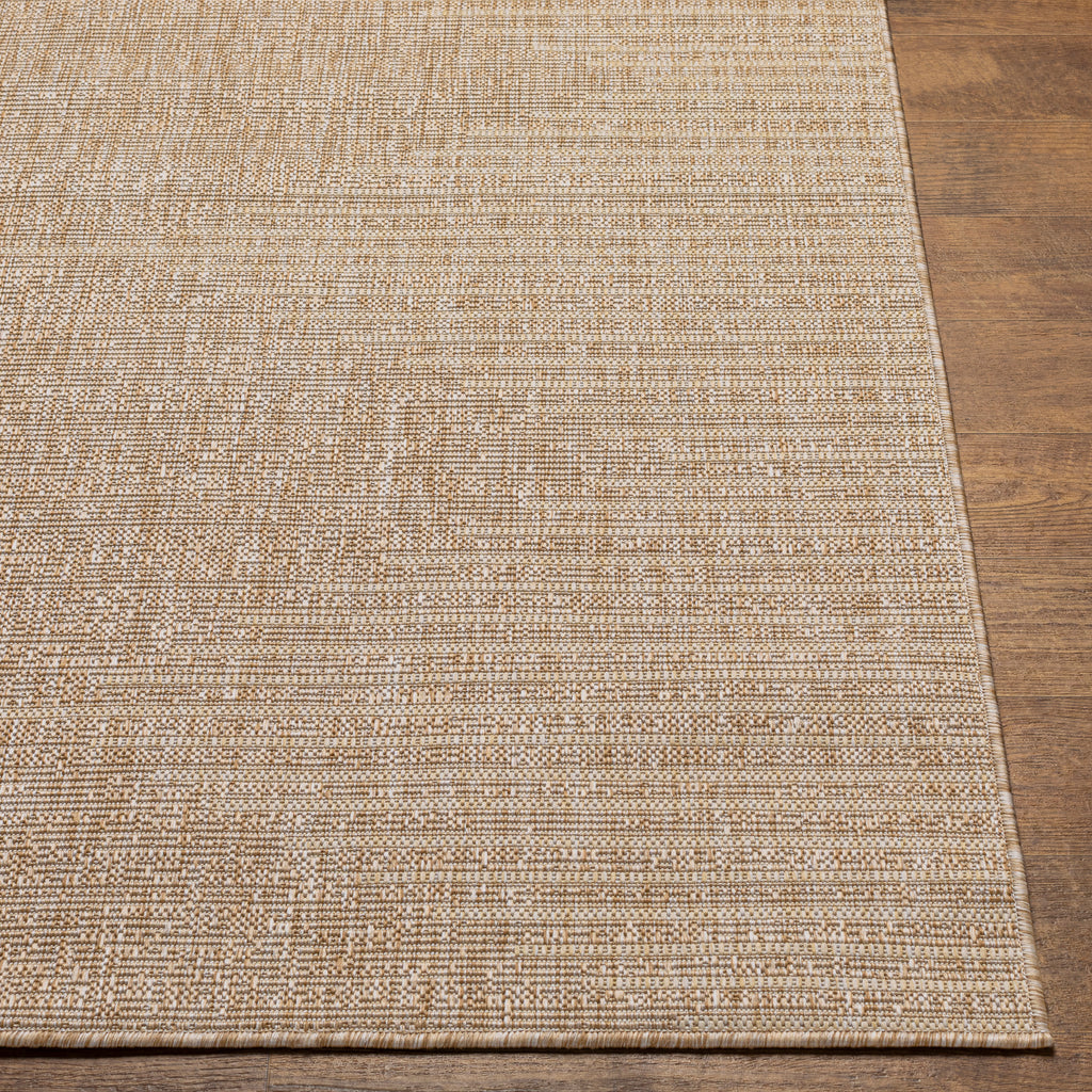 surya eagean eag 2416 tan rug