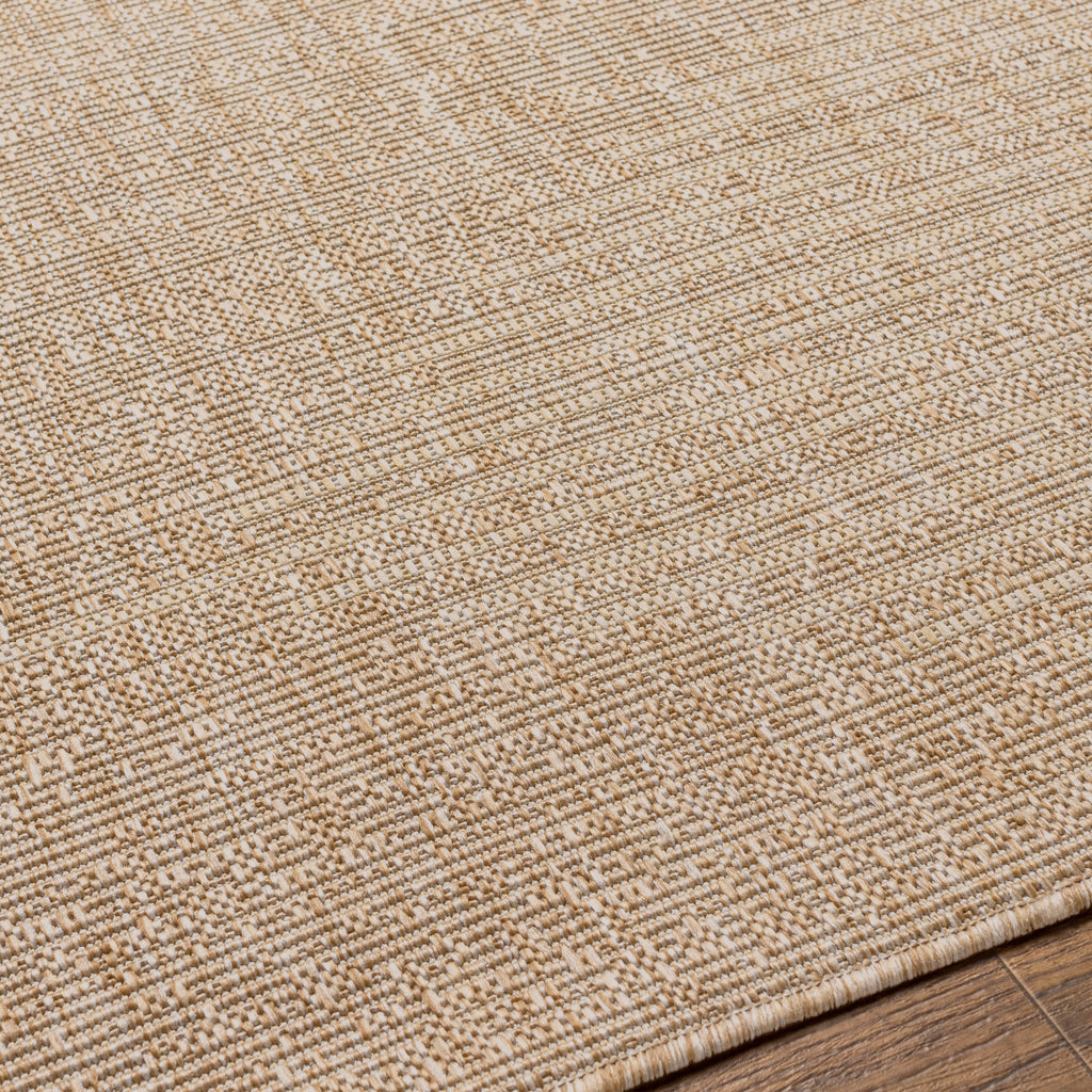 surya eagean eag 2416 tan rug