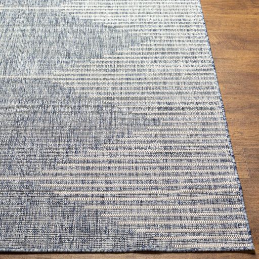 surya eagean eag 2417 pewter rug