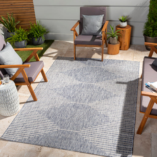 surya eagean eag 2417 pewter rug