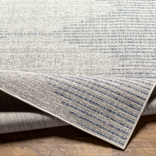surya eagean eag 2418 light grey rug