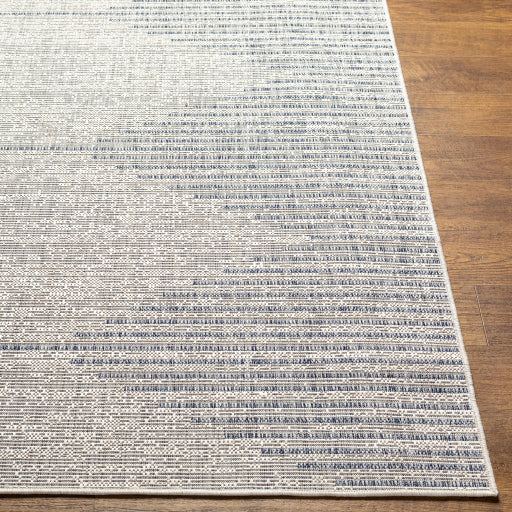 surya eagean eag 2418 light grey rug