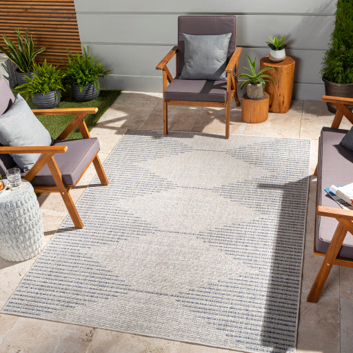 surya eagean eag 2418 light grey rug
