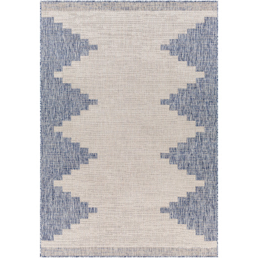 surya eagean eag 2420 taupe rug