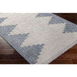 surya eagean eag 2420 taupe rug