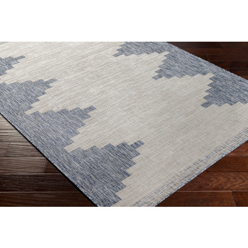 surya eagean eag 2420 taupe rug