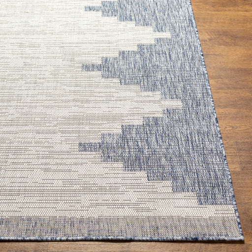 surya eagean eag 2420 taupe rug