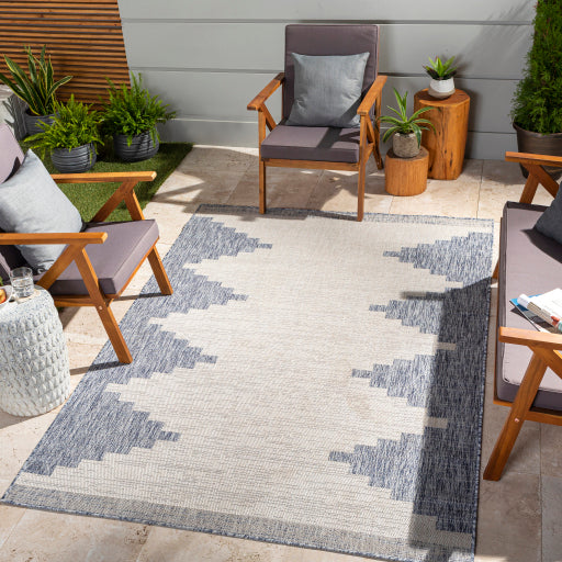 surya eagean eag 2420 taupe rug
