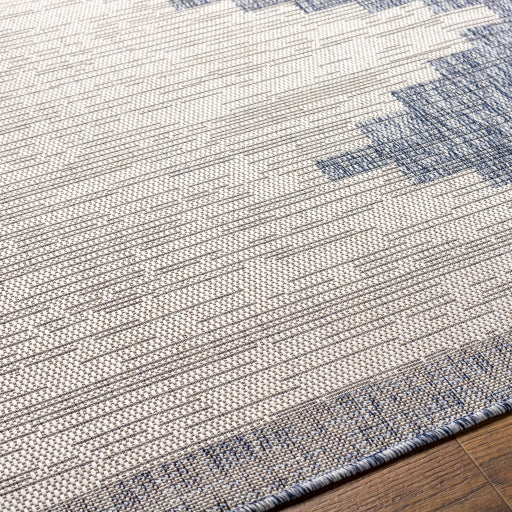 surya eagean eag 2420 taupe rug