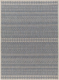 surya eagean eag 2428 taupe rug