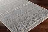 surya eagean eag 2428 taupe rug