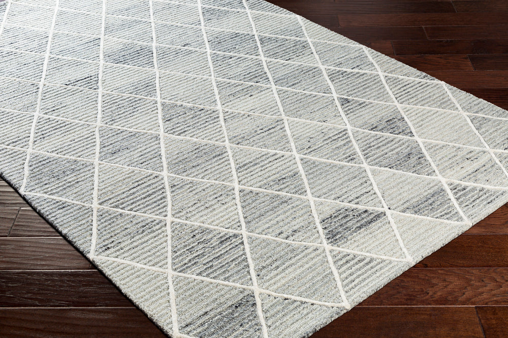 Surya Rug Co. Eaton EAT-2302 Light Gray Rug