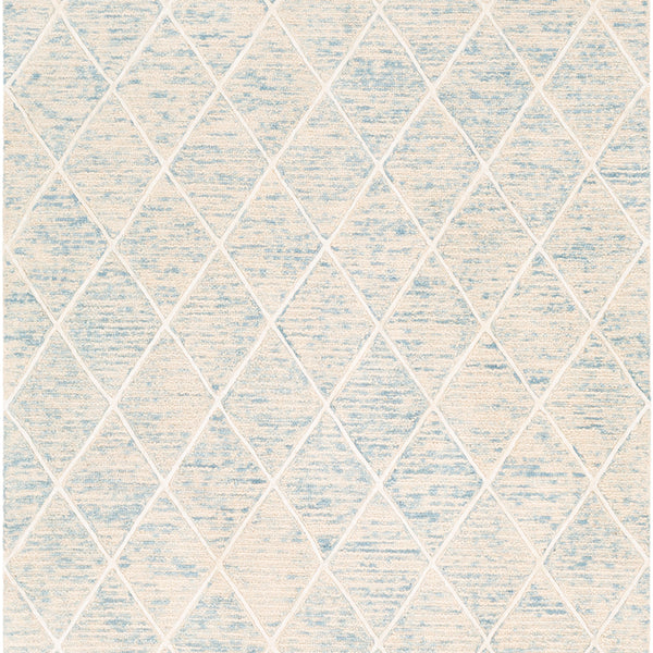 Surya rug co. | Ice Blue rug | Eaton | woven rug | rugs done right