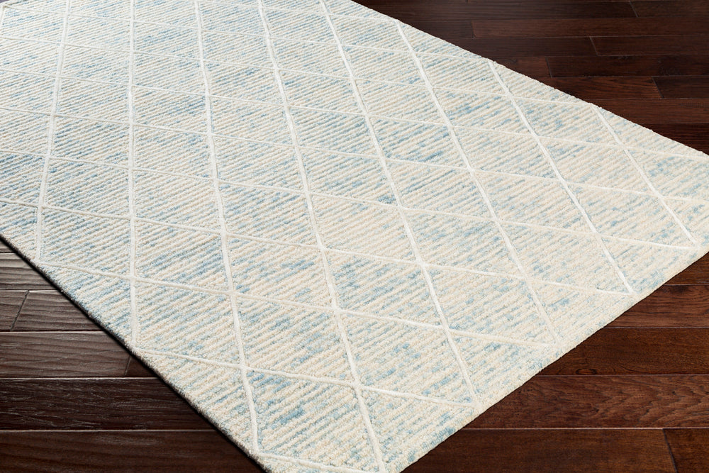 Surya rug co. | Ice Blue rug | Eaton | woven rug | rugs done right
