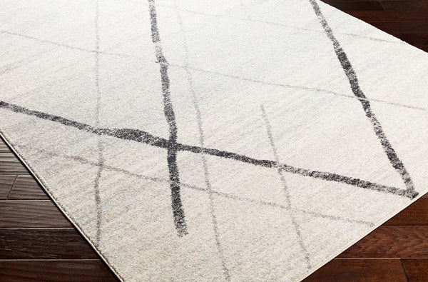 Surya rug co. | light gray rug | Elaziz | rugs done right  Edit alt text