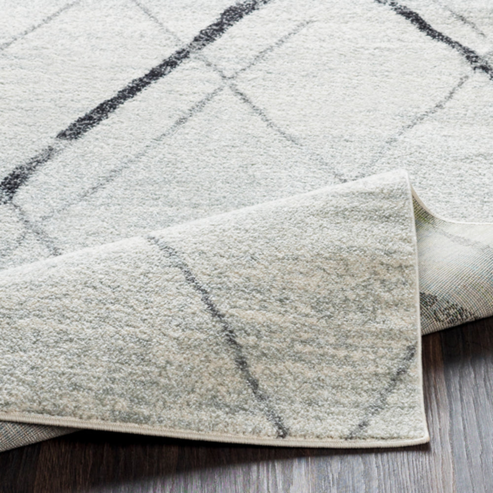 Surya rug co. | light gray rug | Elaziz | rugs done right  Edit alt text