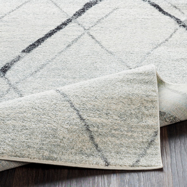 Surya rug co. | light gray rug | Elaziz | rugs done right  Edit alt text