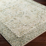 Traditional Surya Erin Cream Rug | Cream Rugs | Rugs Done Right