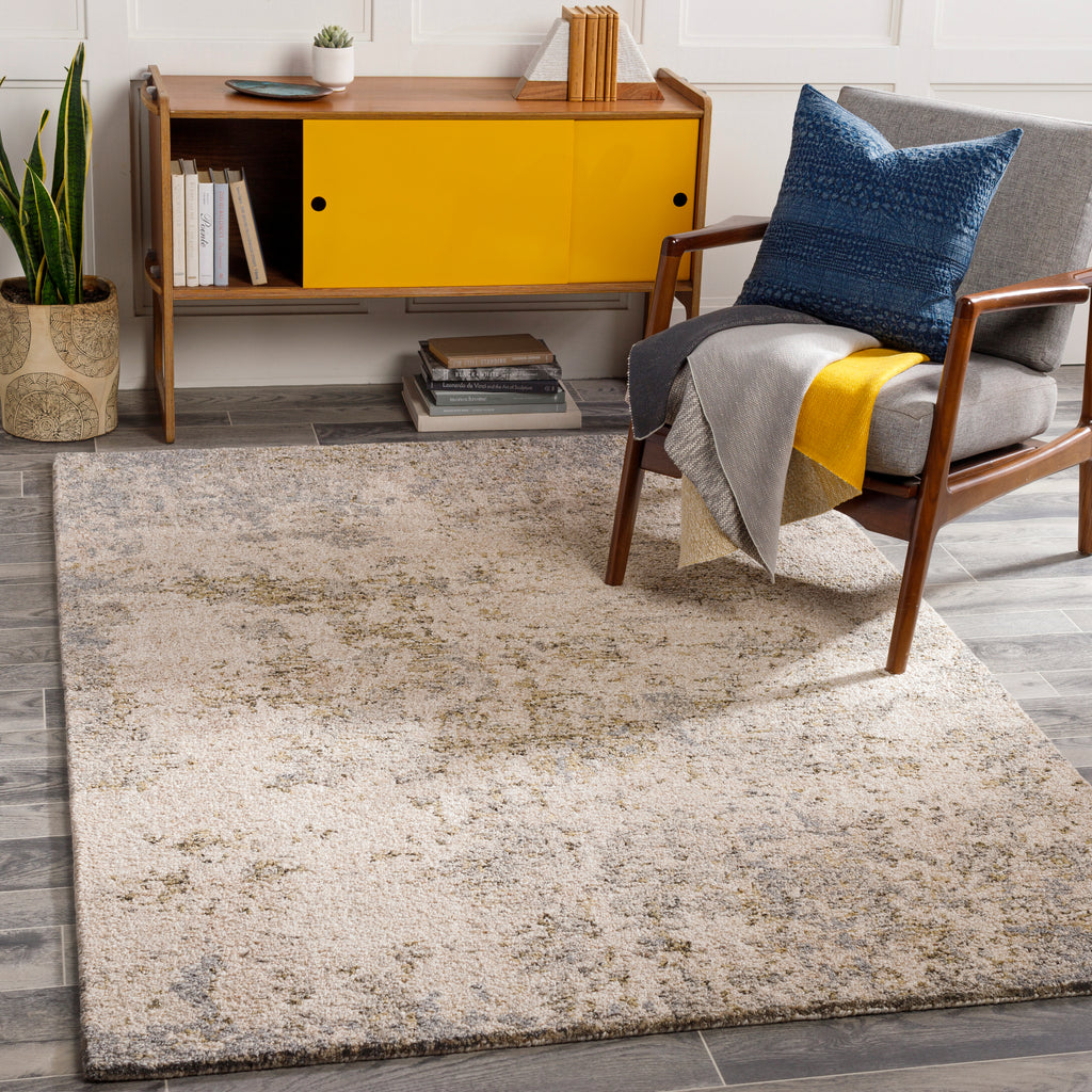 surya evoke evk 2300 rug