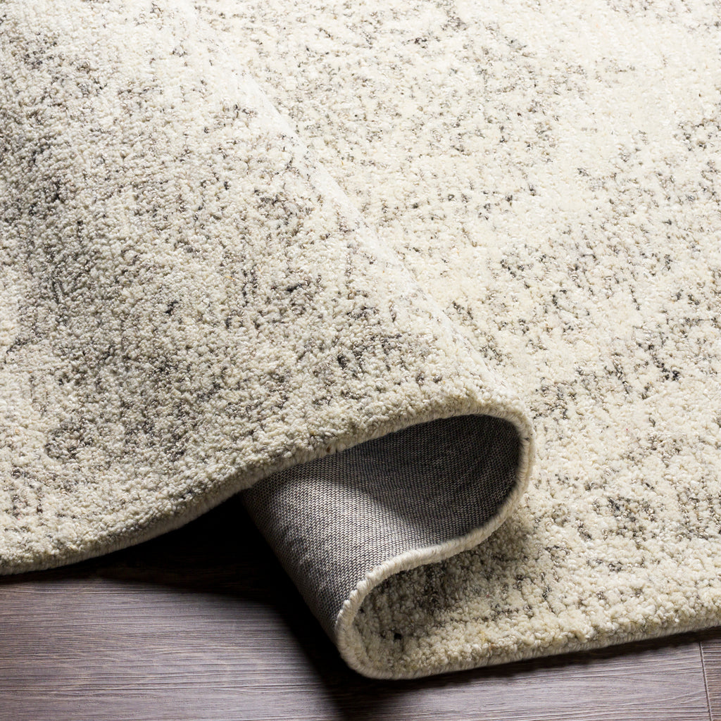 surya evolution evl 2300 gray rug
