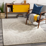 surya evolution evl 2300 gray rug