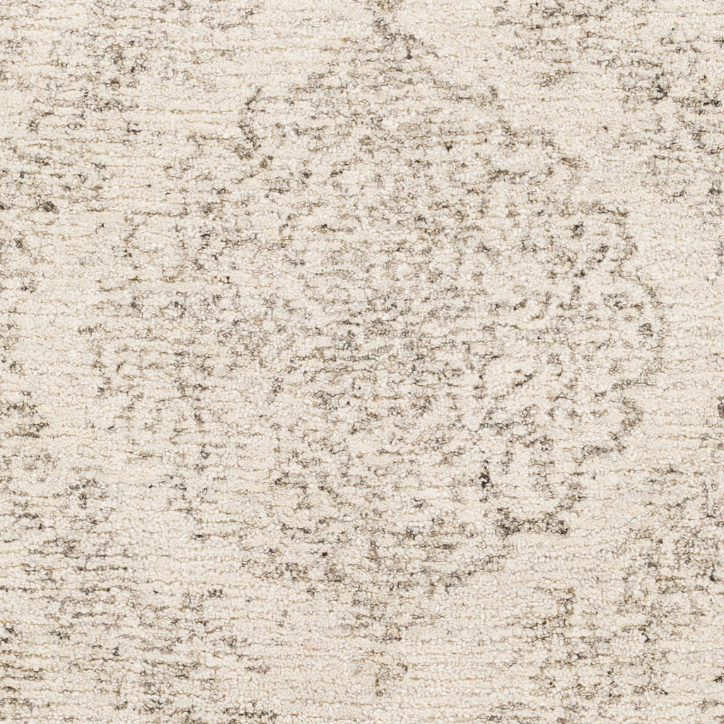 surya evolution evl 2300 gray rug