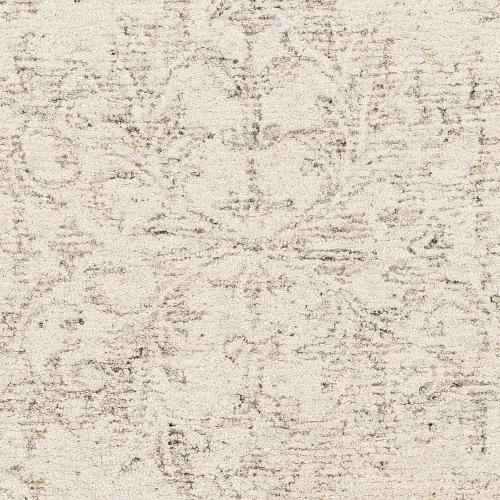 surya evolution evl 2301 gray rug