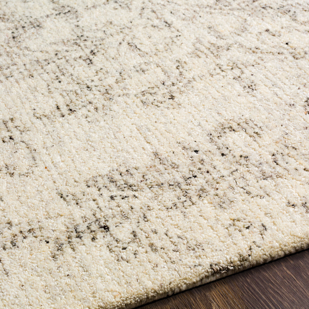 surya evolution evl 2301 gray rug