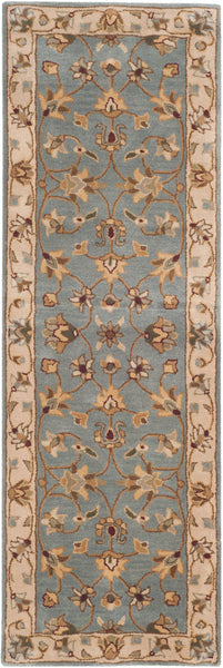 Safavieh Clearance Royalty ROY343B Light Blue Rug