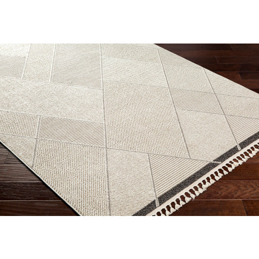 surya finland fnd 2303 cream rug