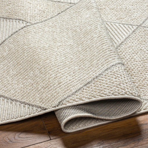 surya finland fnd 2303 cream rug