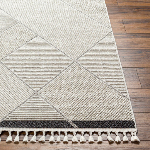 surya finland fnd 2303 cream rug