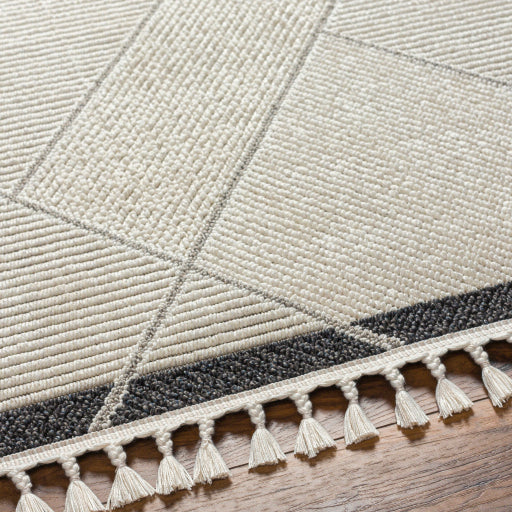 surya finland fnd 2303 cream rug