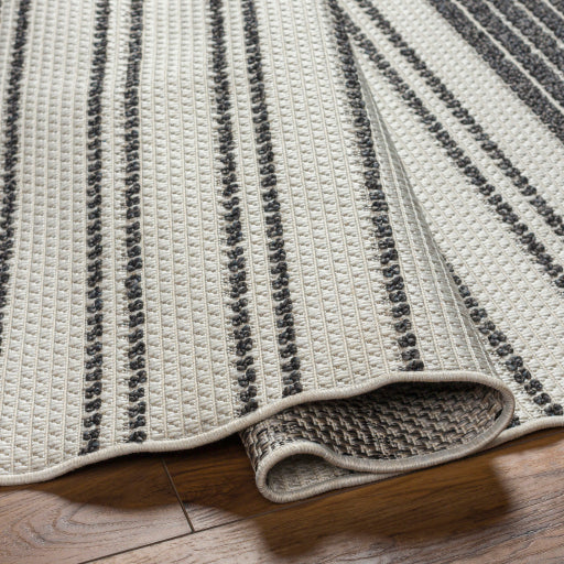 surya finland fnd 2305 cream rug